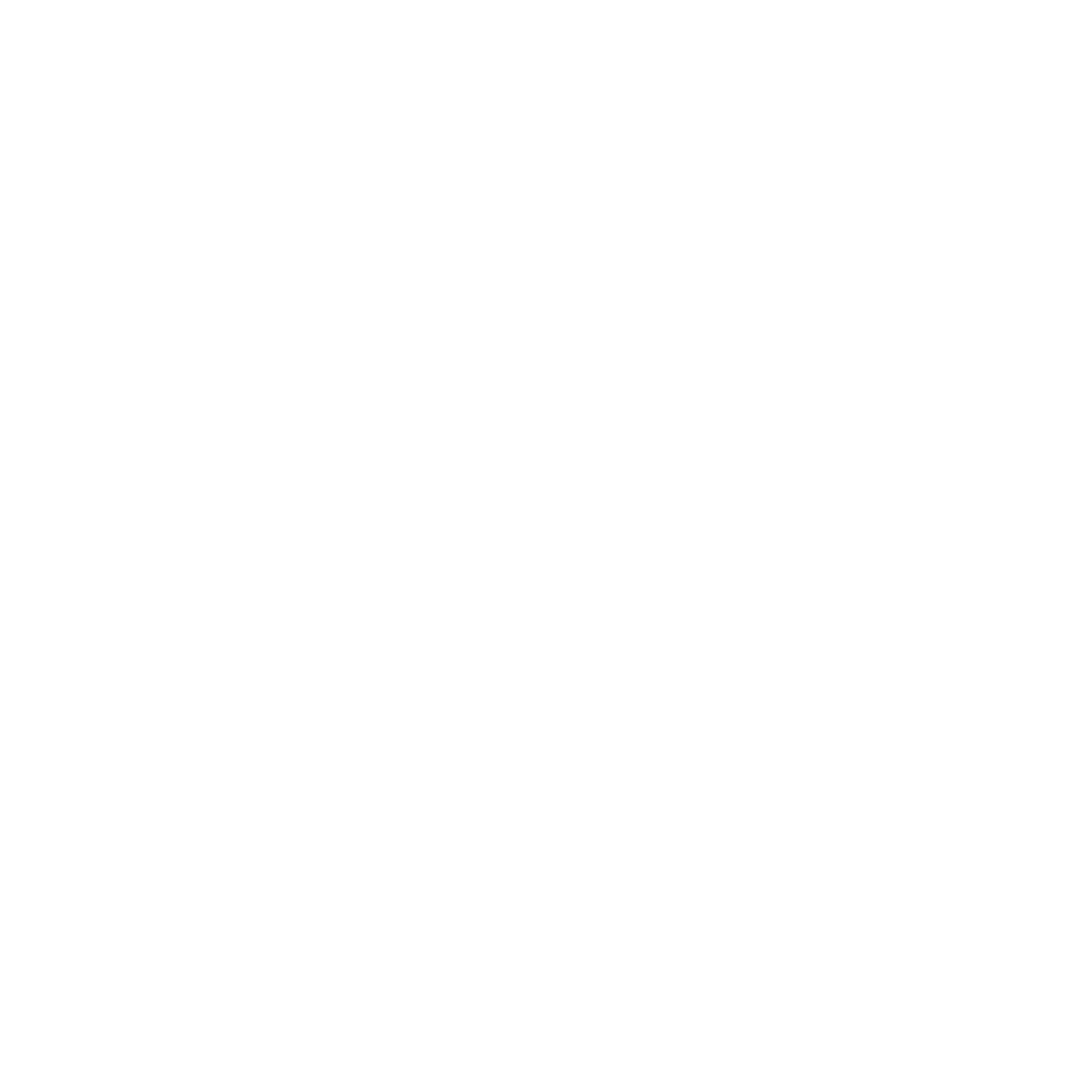 Clep N' Flyy